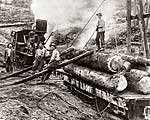 Railroad Logging