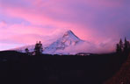 Mt Hood with Rosy Sky