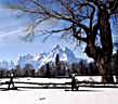 Grand Teton in Winter