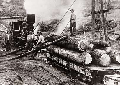Railroad logging